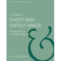 979005128057573999624229BHI28057 Sheep May Safely Graze