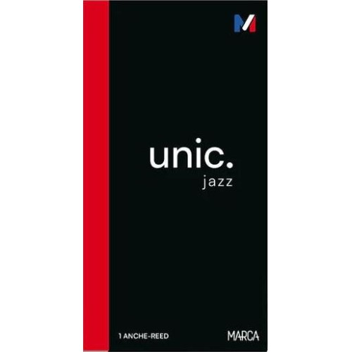 Anche Saxophone Ténor Unic...