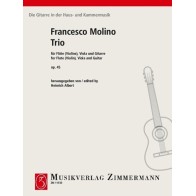 Trio op. 45 