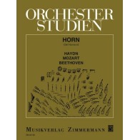 Orchesterstudien 