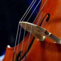 Violoncelle